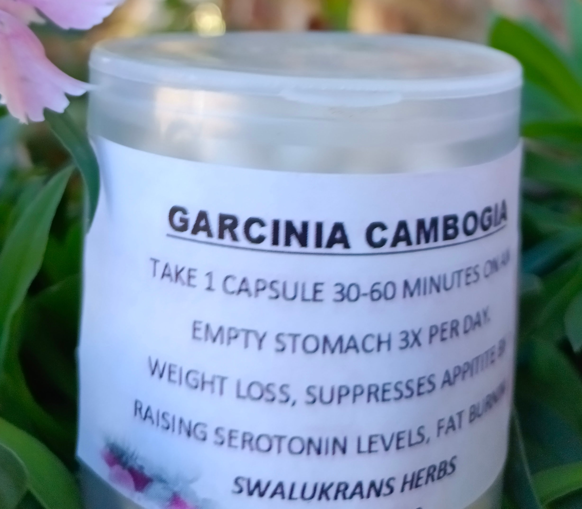 Garcinia Cambogia 60 capsules