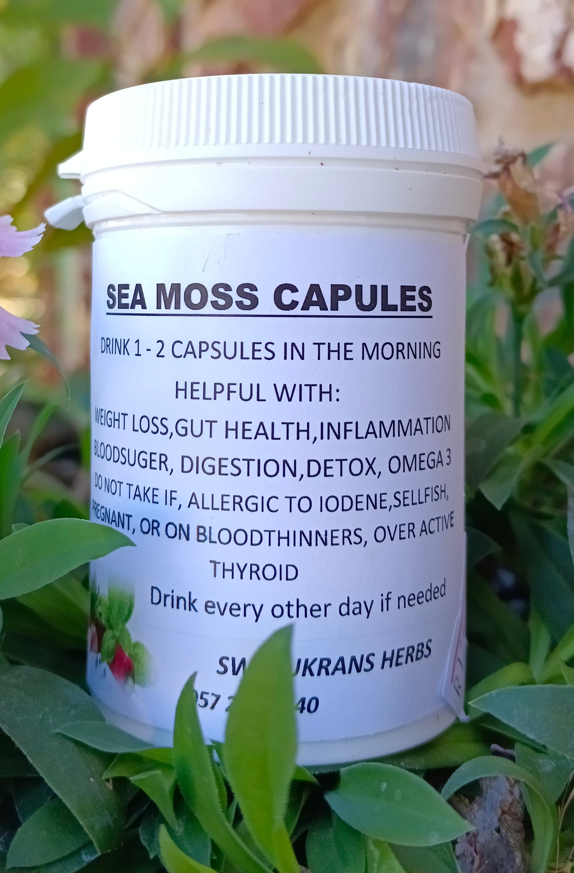 Sea Moss Capsules 60 capsules