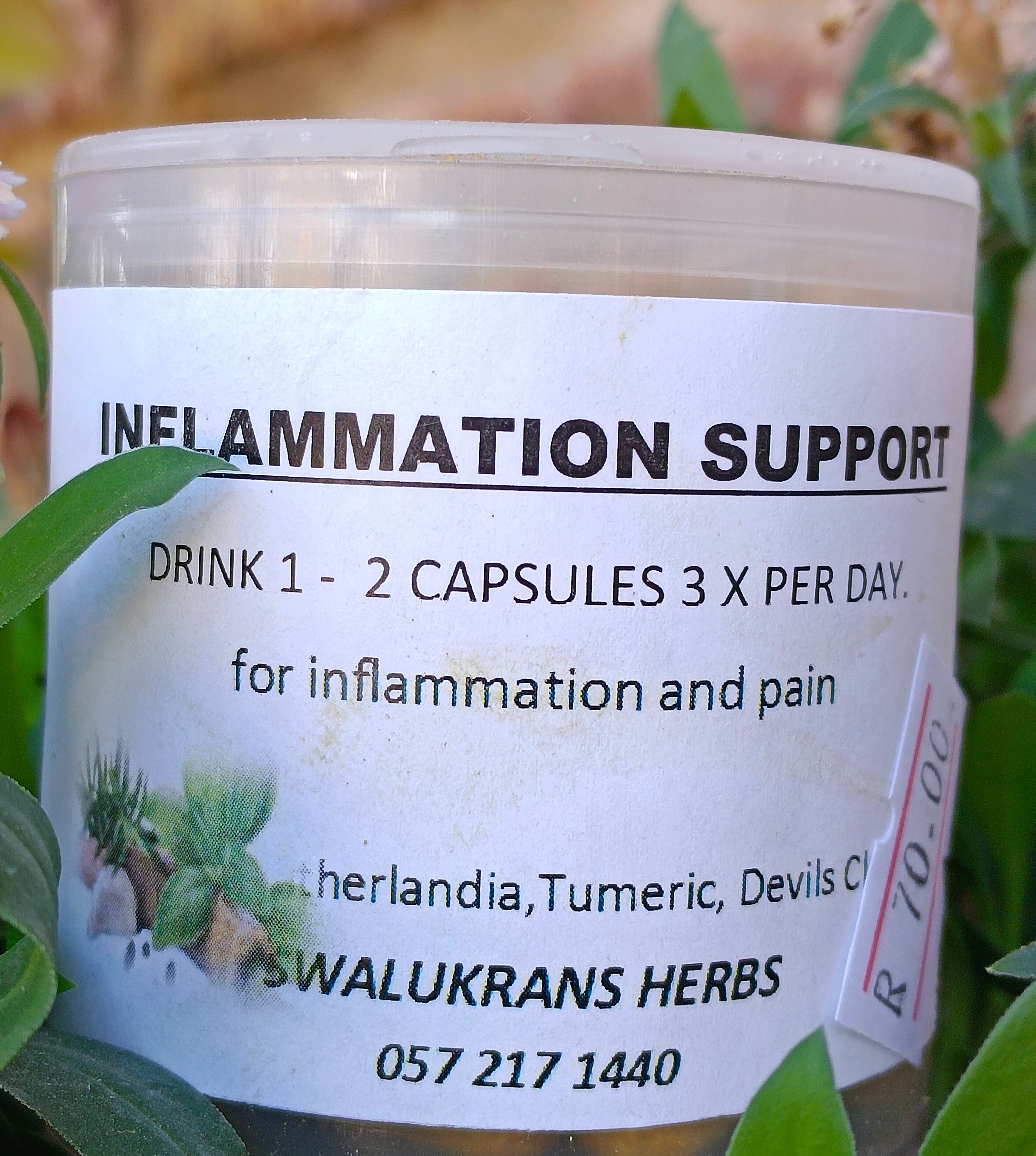 Inflammation Support 60 Capsules