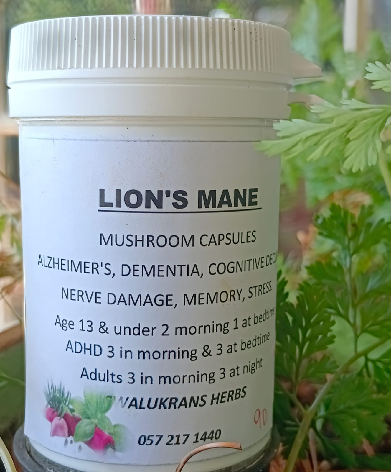 Lion's Main 90 Capsules