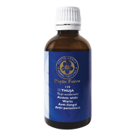 Thuja