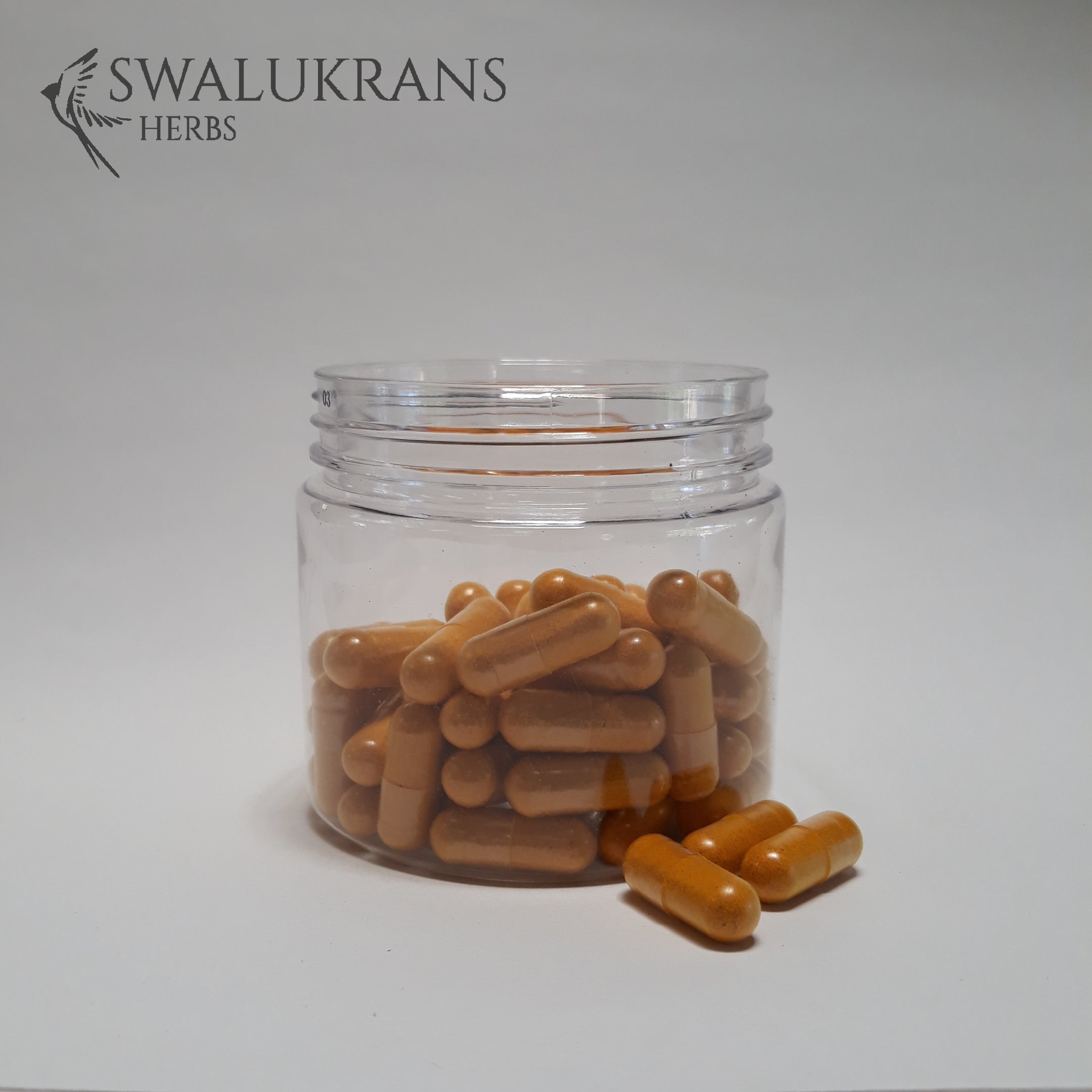 Ginger & Tumeric (60 Capsules)