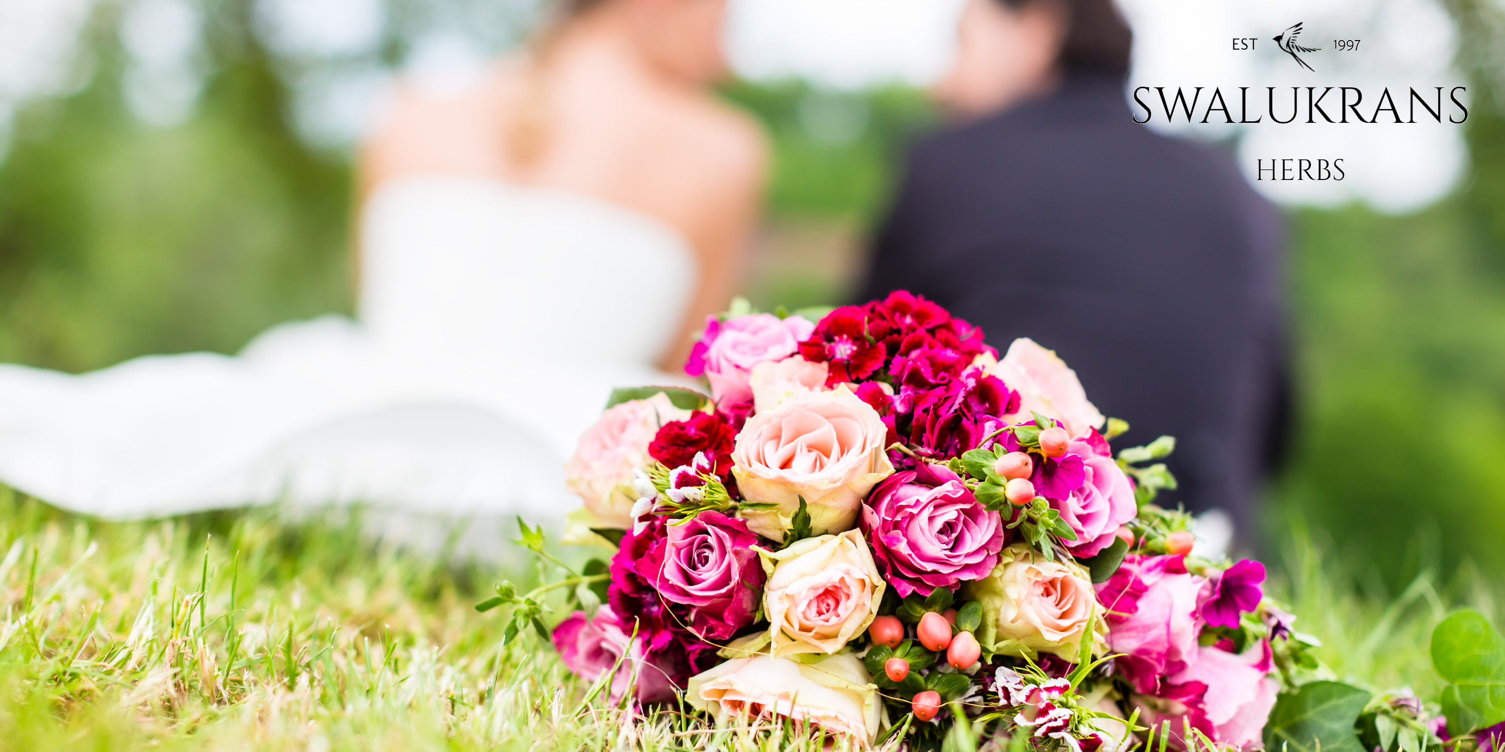 Award Winning Wedding Venue South Africa Free State Low Cost 5 Star with Accommodation and Business Functions, Birthdays And Othe