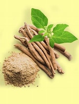 Ashwarganda Capsules 120