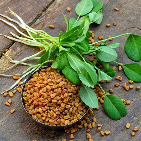 Fenugreek Seeds (Diabetic) 100 gr