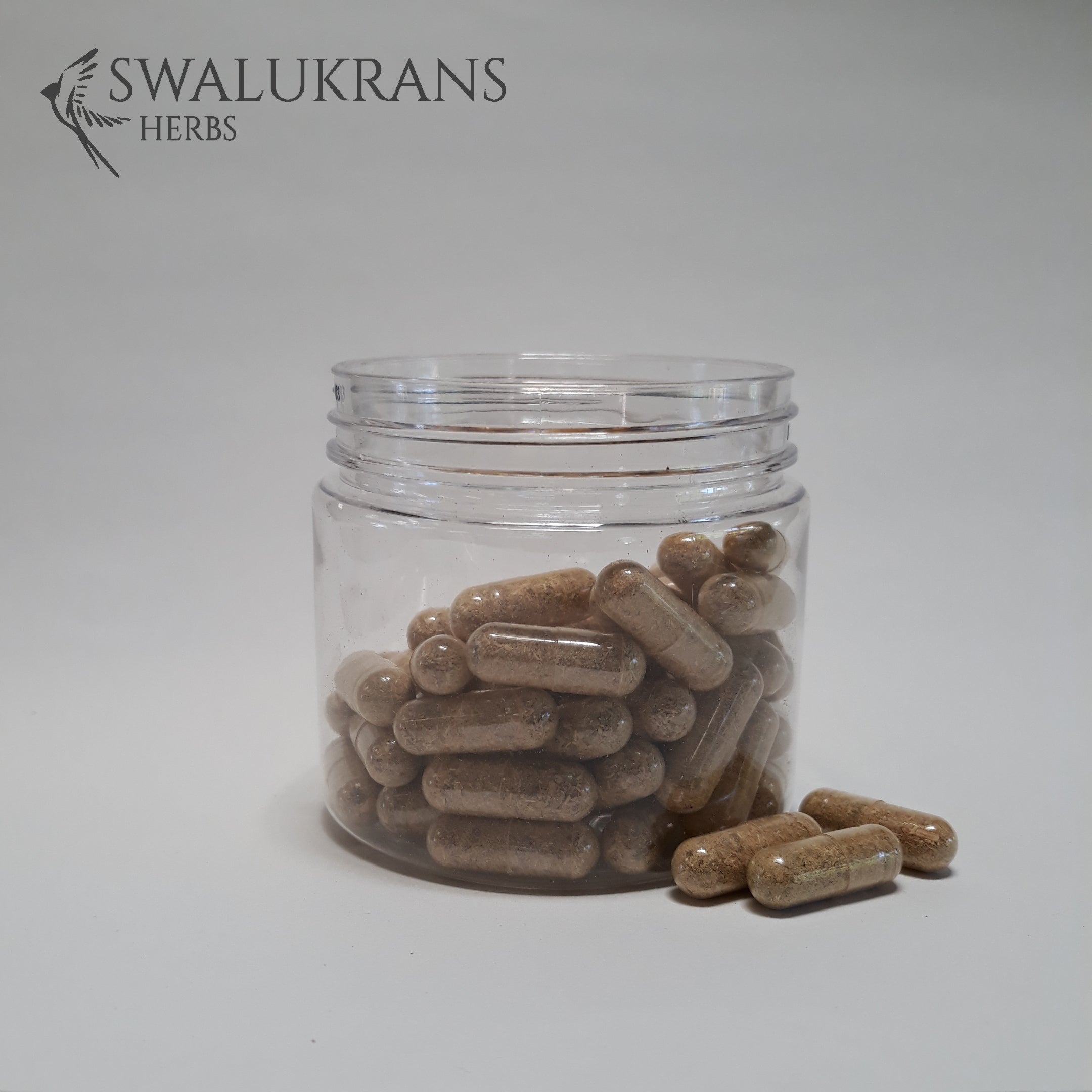 Devil's Claw (60 Capsules)